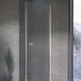 Душевая дверь Kolpa-San Andromeda N 100 см, хром, Transparent